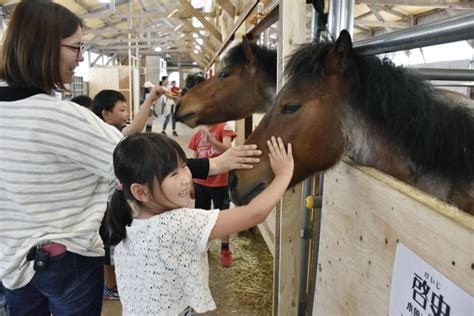 Japanese Horse Stable - Alishadeaf