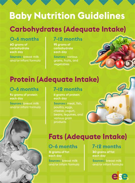 Baby nutrition unlocked. Everything you need to know | Else Nutrition