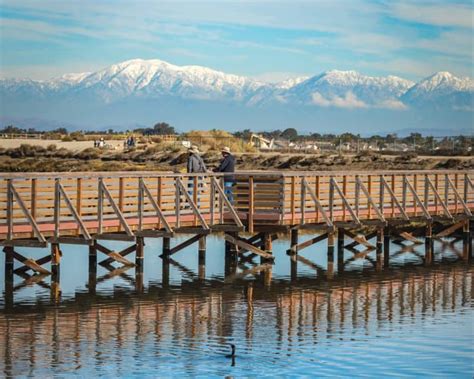 Bolsa Chica Ecological Reserve Offers Stunning Views in the Winter ...