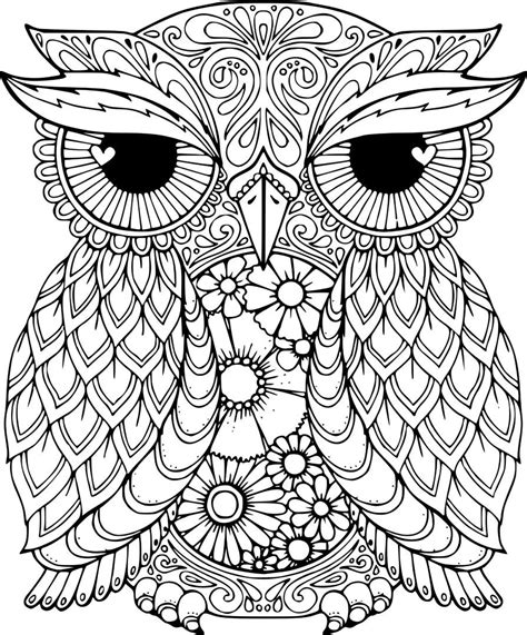 Owl Coloring Pages ⋆ coloring.rocks! | Owl coloring pages, Mandala ...