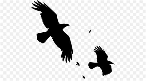 Common raven Clip art - Raven Flying PNG Clipart png download - 975*820 ...