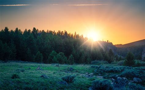 Download wallpaper 3840x2400 sunrise, forest, mountains, landscape ...