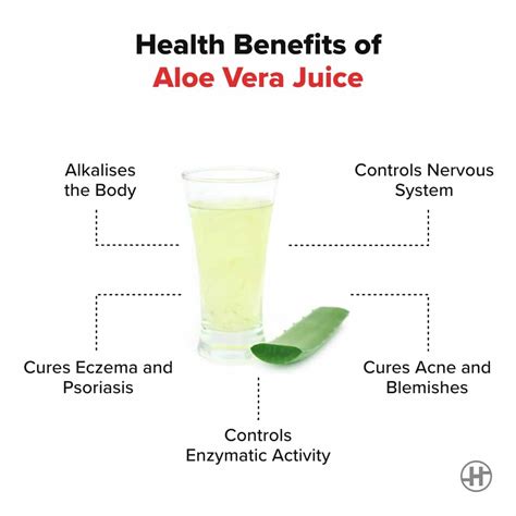 Aloe Vera Juice - Benefits, Uses, Nutrition, And More - Blog - HealthifyMe