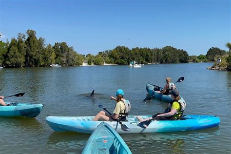 7 Best Dolphin Tours In Cocoa Beach! - ALWAYS ON THE SHORE