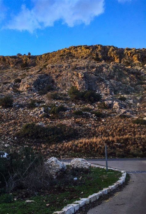 Haifa, Israel. Mount Carmel National Park