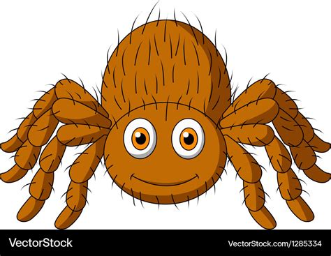 Cute tarantula spider cartoon Royalty Free Vector Image