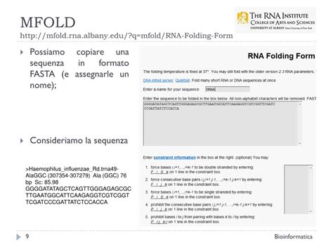 PPT - Bioinformatica Predizione della struttura secondaria dell’RNA – MFOLD PowerPoint ...