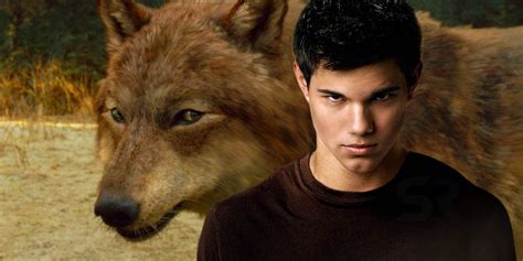 Share 37 kuva taylor lautner twilight wolf - abzlocal fi