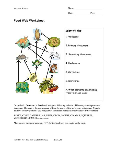 Food Chain Worksheet 3rd Grade