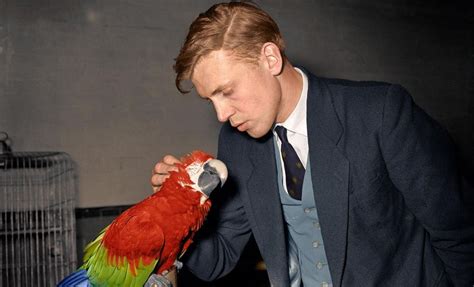 David Attenborough | David attenborough, David, Macaw