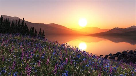 Lake Flowers Wallpapers - Top Free Lake Flowers Backgrounds - WallpaperAccess