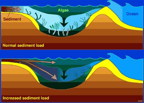 www.Primo.com: Sedimentation definition.