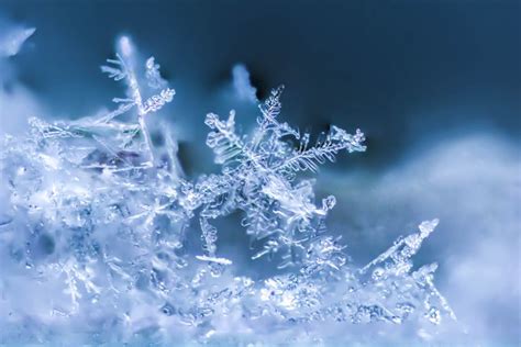 13 Perfect Snowflakes Captured in Photos