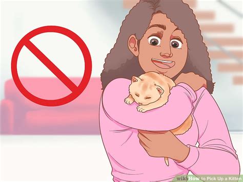 How to Pick Up a Kitten (with Pictures) - wikiHow Pet