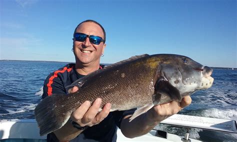 no fluke fishing: Tautog fishing tips from the experts