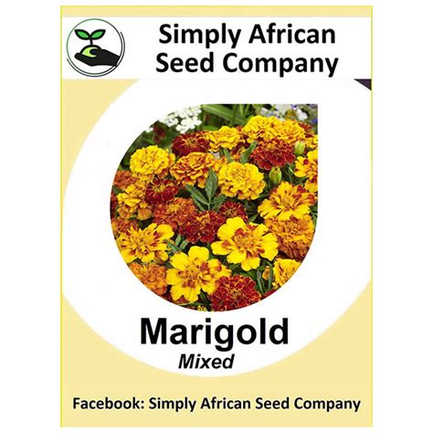 Marigold Seeds - simplyafricanseedcompany