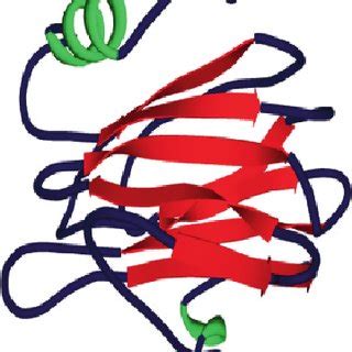 The structure of palytoxin ( a ) from soft coral species and ...