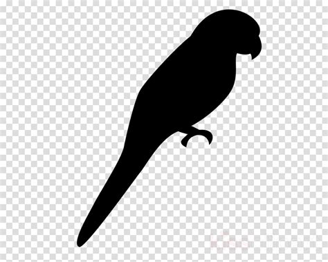 parrot silhouette clipart 10 free Cliparts | Download images on Clipground 2024