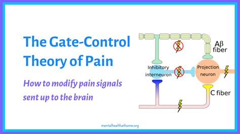 The Gate Control Theory of Pain – What It Means for Pain Control