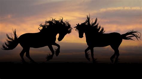 4K Horses Wallpapers High Quality | Download Free