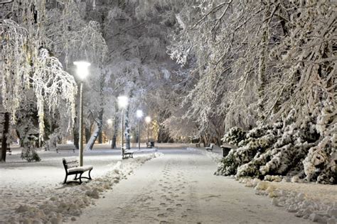 133,200+ Night Snow Scene Stock Photos, Pictures & Royalty-Free Images - iStock