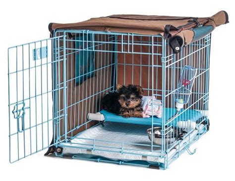 Dog Crate Potty Training ~ Dog Training Review