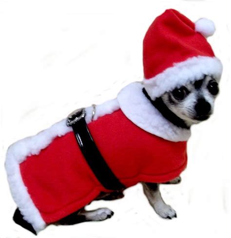 Christmas Outfits Ideas for Dogs - InspirationSeek.com