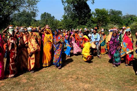 Odisha tribes show how cultivation of indigenous crops is climate-smart & sustainable | TheBlink.in