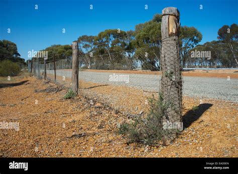 No 1 rabbit proof fence, Western Australia Stock Photo - Alamy