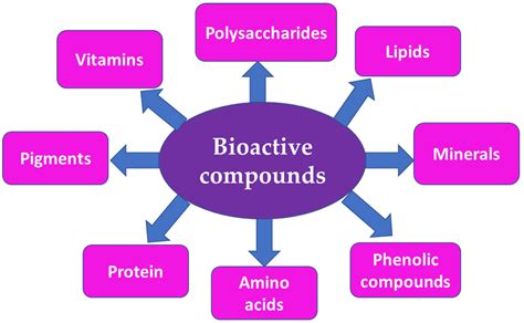 Phytochemical and Potential Properties of Seaweeds | Encyclopedia MDPI