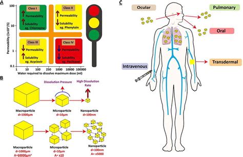 Drug nanocrystals: fabrication methods and promising therapeutic ...