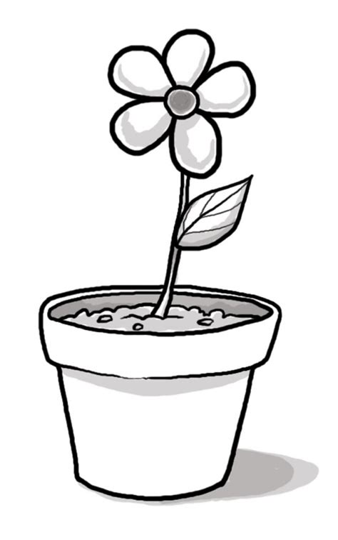 Plant Clipart Black And White | Free download on ClipArtMag