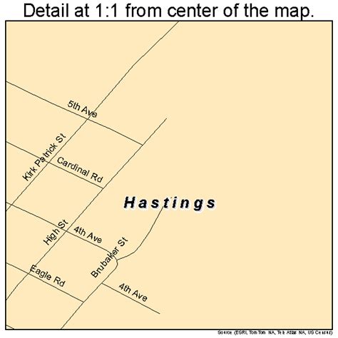 Hastings Pennsylvania Street Map 4233080