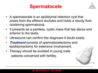 Scrotal disorders | PPT