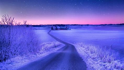 Nature, purple, snow, winter, HD wallpaper | Peakpx