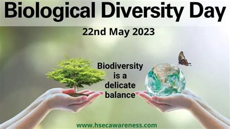 International Biodiversity Day 2023: Understanding The Value Of Biodiversity – HSEC (Health ...