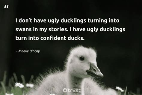 42 Duck Quotes And Sayings About The Friendly Waterfowls (2024)