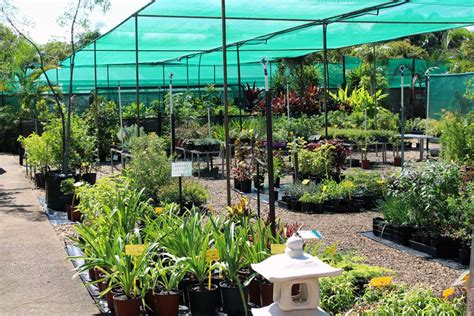 Tropical Paradise Nursery - Bundaberg Plants Retail & Wholesale