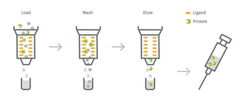 Affinity Chromatography for Recombinant Protein Purification