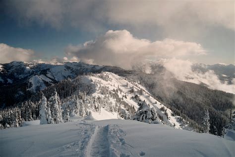 WanderingAway.com : Snowshoeing Hurricane Ridge