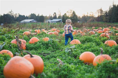 Pumpkin patch family photos - Fraser Valley Family Photographer - Wink Photography