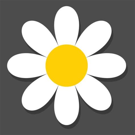 Daisy Illustrations, Royalty-Free Vector Graphics & Clip Art - iStock ...