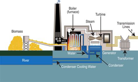 How can biomass serve our needs? • Learning Content • Department of ...