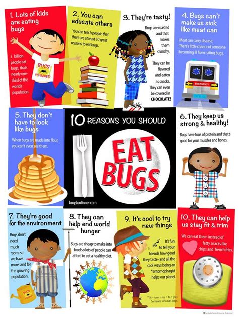 EDIBLE INSECTS EDUCATIONAL POSTER - Edible Insects