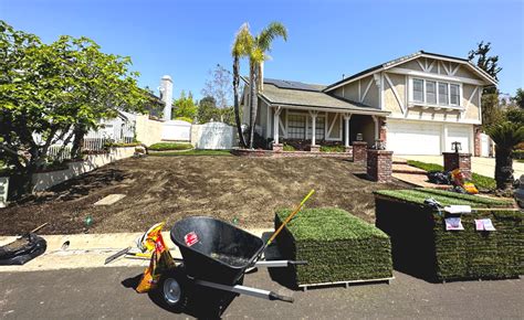 Sod installation - Greenplace LLC