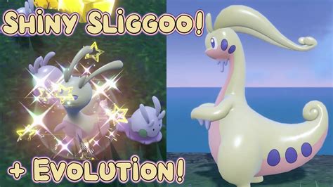 Shiny Sliggoo + Goodra Evo! - Pokemon Violet (Badge Quest #14) - YouTube