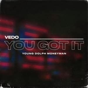 VEDO – You Got It Samples | Genius