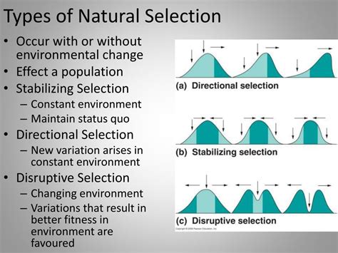 Natural Selection