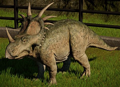 Styracosaurus Facts, Habitat, Diet, Fossils, Pictures