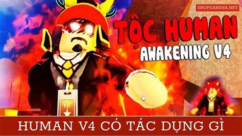 Human V4 Có Tác Dụng Gì ? Cách Thức Tỉnh Tộc Human V4